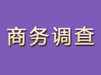 陵水商务调查